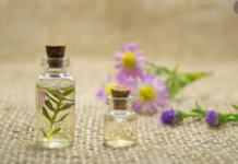 Essential Oils for Ants