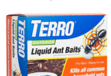 Terro Ant Bait Reviews