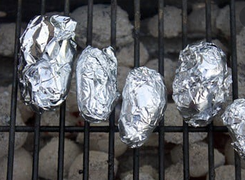 Can-Cockroaches-Chew-Through-Aluminum-Foil