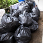 Can-Cockroaches-Chew-Through-Garbage-Plastic-Bags